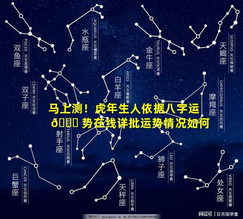 马上测！虎年生人依据八字运 🐎 势在线详批运势情况如何